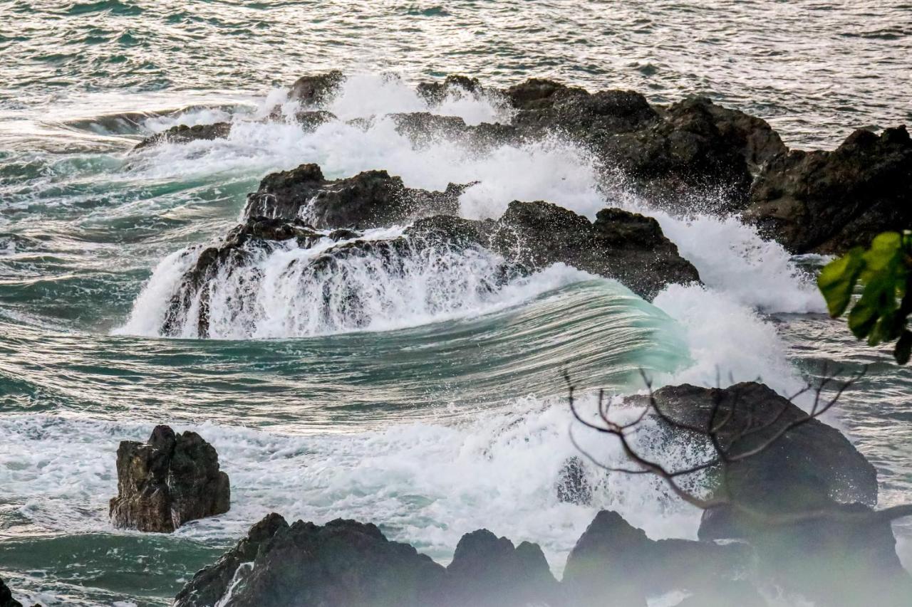 La Paloma Blanca B3 Daire Jacó Dış mekan fotoğraf